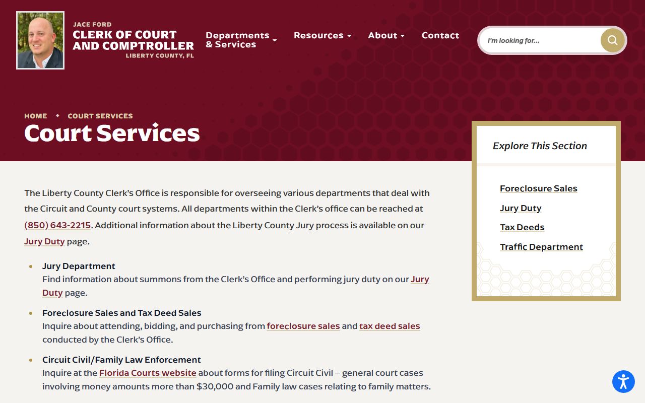 Liberty County DUI records source screenshot